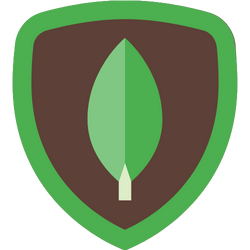 Next Js. icon